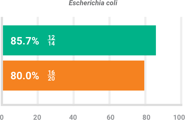 BAXDELA gram-negative pathogen Escherichia coli clincal response chart