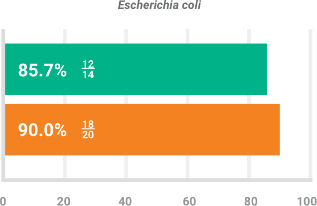 BAXDELA gram-negative pathogen Escherichia coli investigator-assessed success chart
