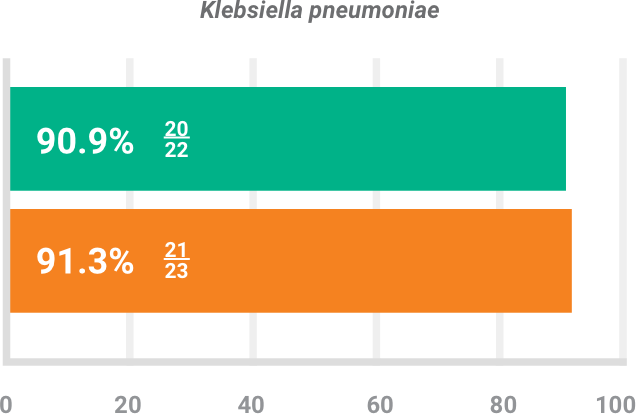 BAXDELA gram-negative pathogen Klebsiella pneumoniae investigator-assessed success chart