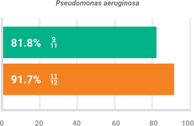 BAXDELA gram-negative pathogen Pseudomonas aeruginosa clinical response chart