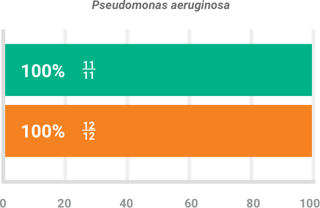 BAXDELA gram-negative pathogen Pseudomonas aeruginosa investigator-assessed success chart