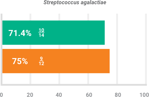 BAXDELA gram-positive pathogen Staphylococcus agalactiae clinical response chart