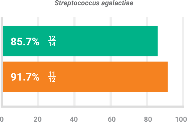 BAXDELA gram-positive pathogen Staphylococcus agalactiae investigator-assessed success chart