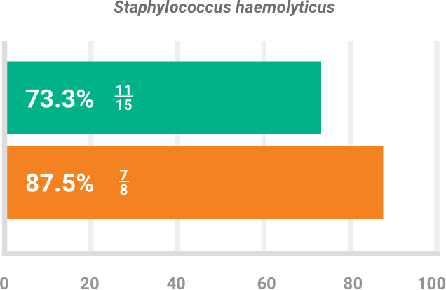 BAXDELA gram-positive pathogen Staphylococcus haemolyticus clinical response chart