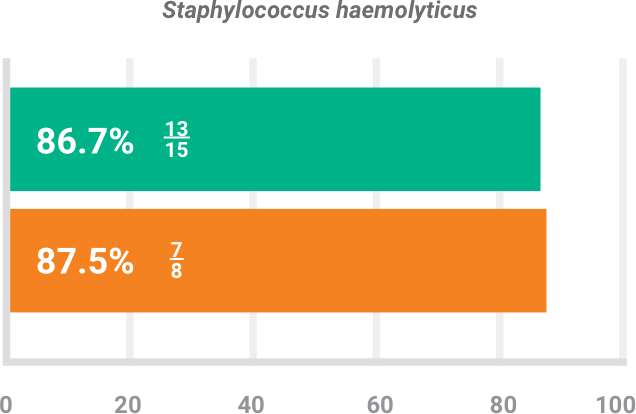 BAXDELA gram-positive pathogen Staphylococcus haemolyticus investigator-assessed success chart
